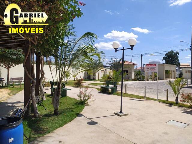 Apartamento para Locação em Petrolina - 4