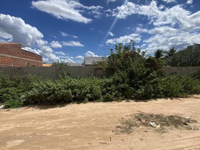 Terreno para Venda em Petrolina - 4
